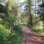 durch einen Lärchen- und Arvenwald, führt uns der Wanderweg über etlichen Kehren,...