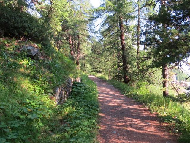 durch einen Lärchen- und Arvenwald, führt uns der Wanderweg über etlichen Kehren,...