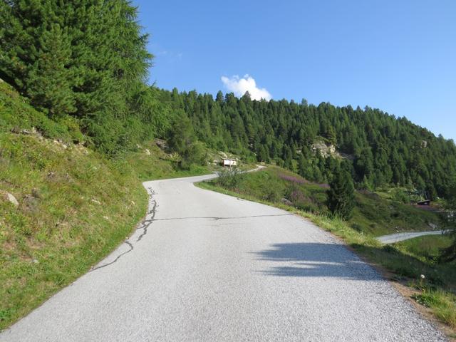 vom Kurhaus in Arolla folgen wir wieder die Fahrstrasse nach rechts diesmal talauswärts, bis zu den obersten Chalets von Arolla