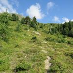 durch einen wunderschönen Arven- Lärchenbestand und am Skilift vorbei, erreichen wir bei Punkt 2156 m.ü.M. die Waldgrenze