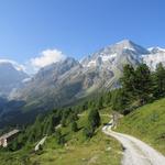 hier geniessen wir einen ersten Ausblick in die Bergwelt des Val d'Arolla