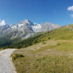 prächtig ist der Anblick von Mont Collon und Pigne d'Arolla, vorgelagert die Pointes de Tsena Réfien und Monts Rouges