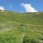 wir halten uns links und steigen in etlichen Kehren durch die saftigen Weiden der Alp Pra Gra 2279 m.ü.M. hinauf