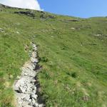 über weite Hochflächen mit saftigen Wiesen 2300 m.ü.M. geht es nun gemächlich dahin, bis ein kurzer steiler Anstieg zu den..