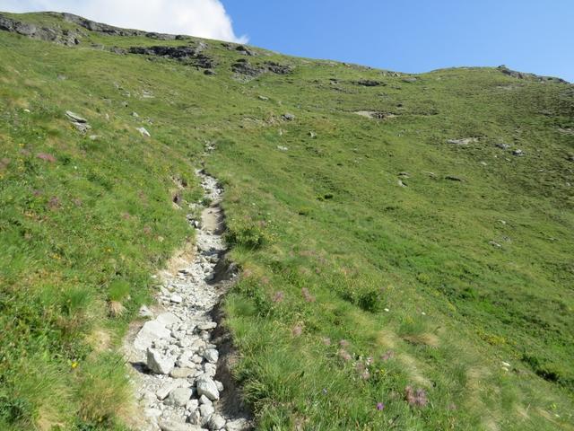 über weite Hochflächen mit saftigen Wiesen 2300 m.ü.M. geht es nun gemächlich dahin, bis ein kurzer steiler Anstieg zu den..