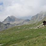 Blick zu den beiden Einschnitten der hoch gelegenen Übergänge Pas de Chèvres und Col de Riedmatten ins Val de Dix