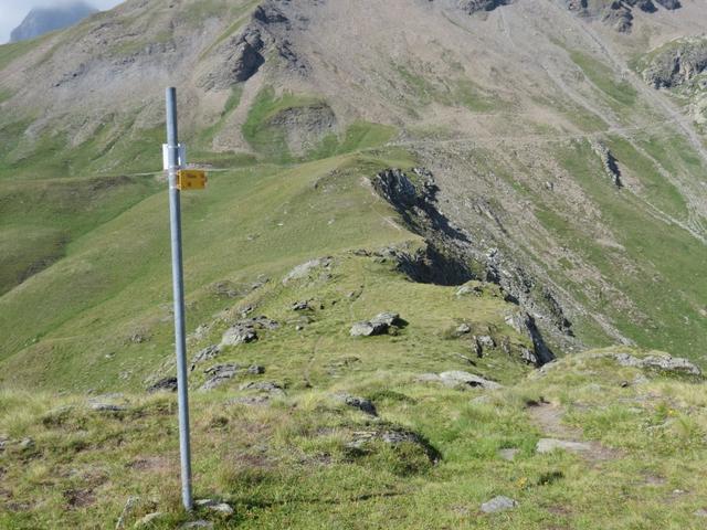 auf gleichem Weg wie wir gekommen sind, laufen wir wieder zu der Weggabelung zurück