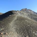 die weiterhin gut ersichtliche Pfadspur führt uns zum breiten Südrücken des Mont de l'Etoile hinauf