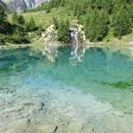 das Wasser hat sich seinen Weg bis fast am Ufer gebahnt. Aus zahlreichen kleinen Quellen streben die Rinnsale dem See zu