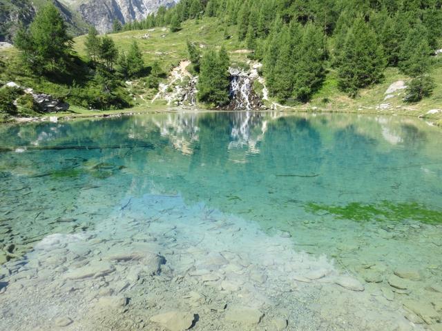 das Wasser hat sich seinen Weg bis fast am Ufer gebahnt. Aus zahlreichen kleinen Quellen streben die Rinnsale dem See zu