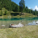 sehr schönes Breitbildfoto vom Lac Bleu