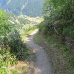 der Wanderweg schlängelt sich nun alles am Berghang entlang, taleinwärts Richtung Arolla