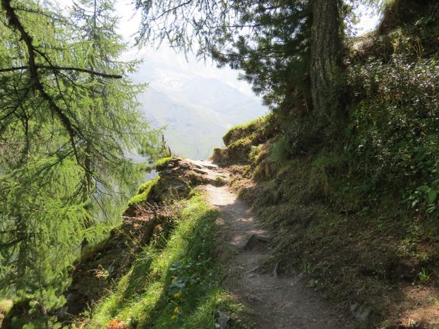 ...wandern wir über dem Arollatal 2115 m.ü.M.