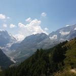 uns stockt der Atem. Was für eine Aussicht! Mont Collon, L'Evéque, Serre de Vuibe und Pigne d'Arolla