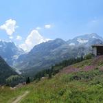 leicht an Höhe verlierend, verlassen wir den schönen Lärchenwald, und können diese sehr schöne Aussicht geniessen