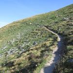 ...und starten die Wanderung die uns hinauf zum Illhorn führen wird