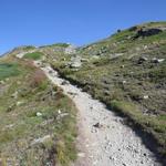 ein gut ersichtlicher Wanderweg führt uns nun steiler hinauf Richtung Gipfel