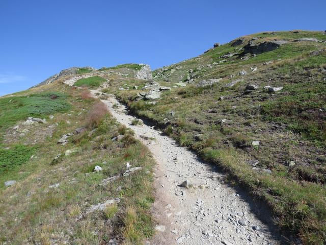 ein gut ersichtlicher Wanderweg führt uns nun steiler hinauf Richtung Gipfel