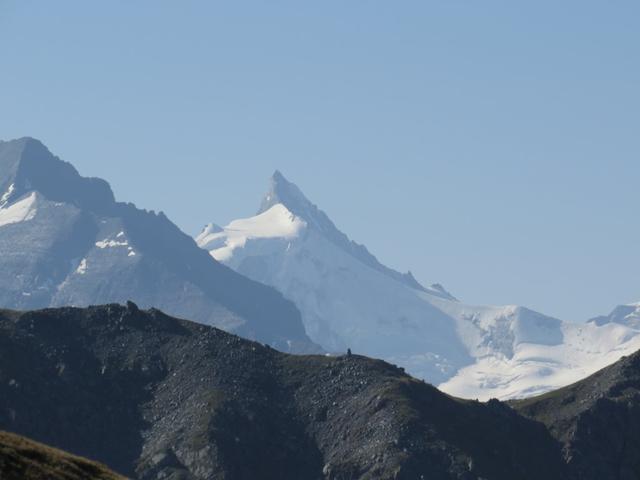 Blick auf Zinalrothorn