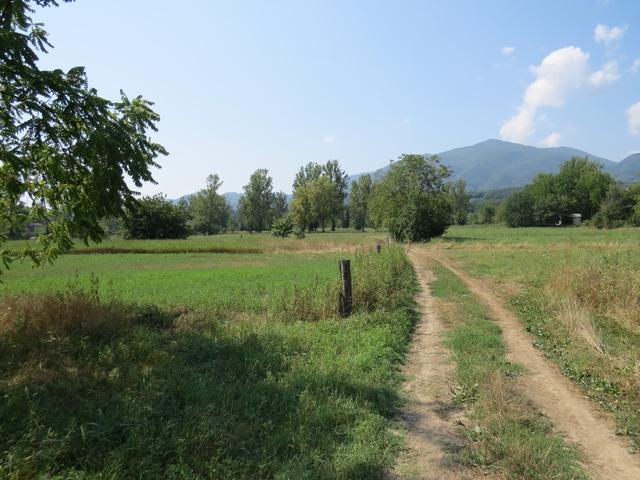 Migliarina liegt hinter uns, und wir freuen uns auf Pieve di Sorano