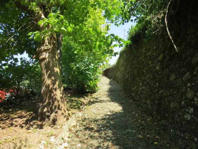 wir laufen neben der alten Stadtmauer von Filattiera