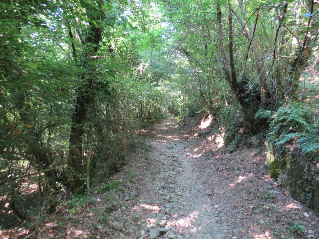 wir tauchen in einem dichten Wald ein. Er schützt uns von der unglaublichen Hitze von weit über 30 Grad