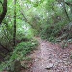 steil, steinig und schweisstreibend führt uns nun der Weg hinauf zu einem kleinen Pass