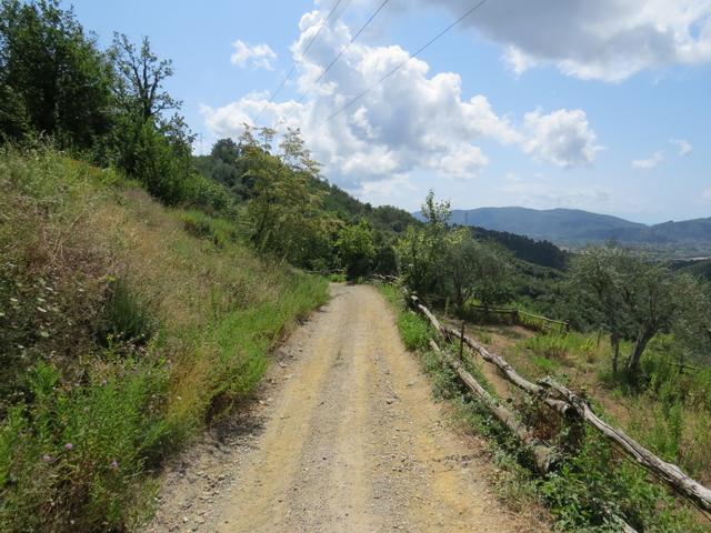 ein schönes Wegstück führt uns weiter Richtung Sarzana