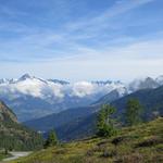 in der Ferne grüsst das Bietschhorn