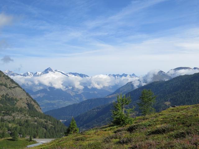 in der Ferne grüsst das Bietschhorn