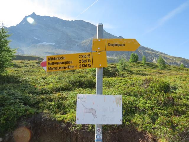 wandern wir leicht ansteigend 2147 m.ü.M., weiter Richtung Osten