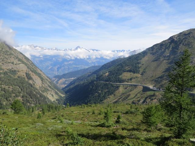 Blick auf die Sustenpassstrasse. Am Horizont gut erkennbar das Bietschhorn