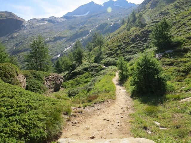 der Wanderweg biegt nun nach links ab...