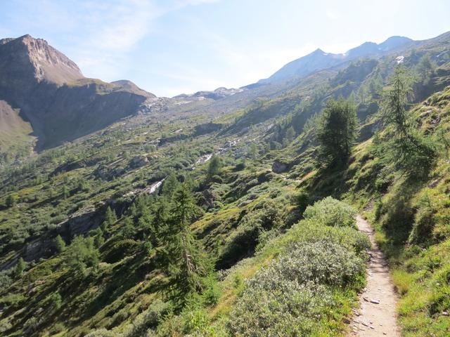 ...und führt uns in das Gebiet von Chalti Wasser 2293 m.ü.M.