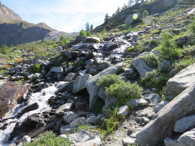 hier überqueren wir nun laufend die vom Chaltwassergletscher gespeisten Bäche