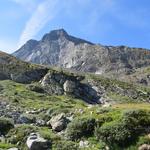 rechts von uns das Hübschhorn