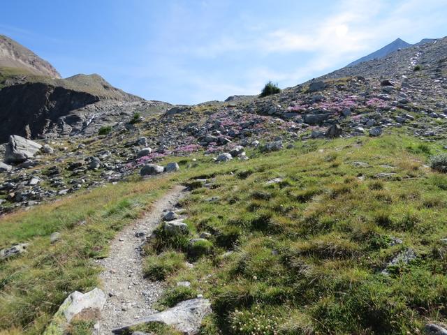 immer an Höhe gewinnend durchqueren wir das Gebiet von Chalti Wasser