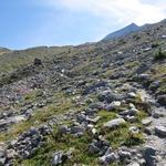 unzählige Gletscherabflüsse werden überquert