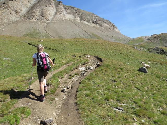 ...und biegen in das grüne Moränental (Chaltwassertälli) hinein