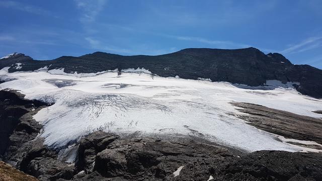 Gegenüber zieht sich der breite Chaltwassergletscher zum Monte Leone hinauf