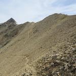 während dem zurücklaufen geniessen wir den Ausblick auf Wasenhorn und die Mäderlücke