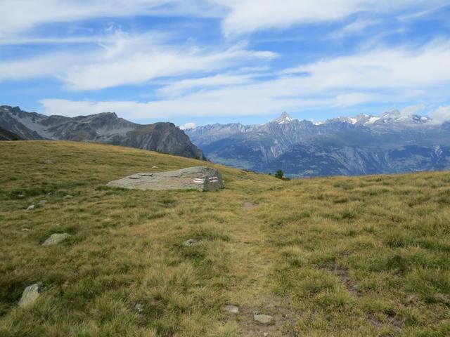 über grüne Matten erreichen wir die Weggabelung bei Punkt 2307 m.ü.M. Wir biegen rechts ab...