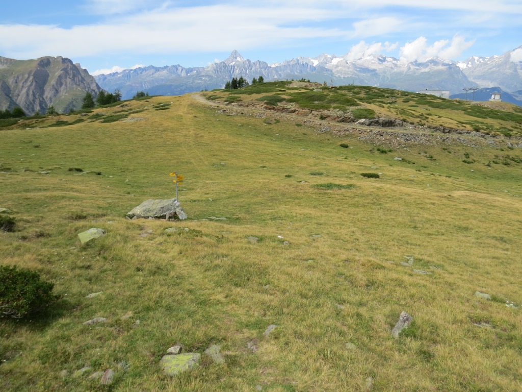 ...und laufen über die Alp Burst Richtung Bergstation eines Skiliftes