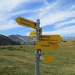 Wegweiser bei der Bergstation Burst. Wir biegen rechts ab Richtung Rothwald