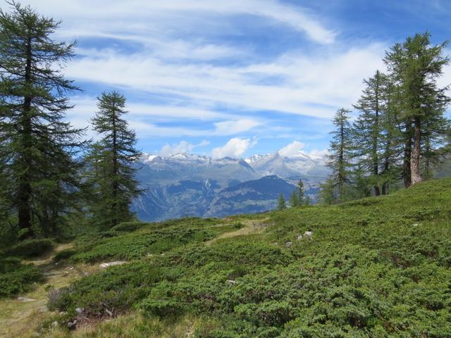 dieses Teilstück hinunter nach Rothwald ist wunderschön