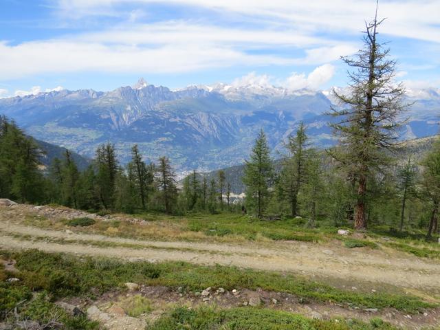 immer wieder kreuzt unser Wanderweg den Fahrweg 2070 m.ü.M.