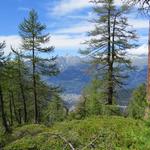 die Aussicht ins Rhonetal und auf das Bietschhorn ist traumhaft schön