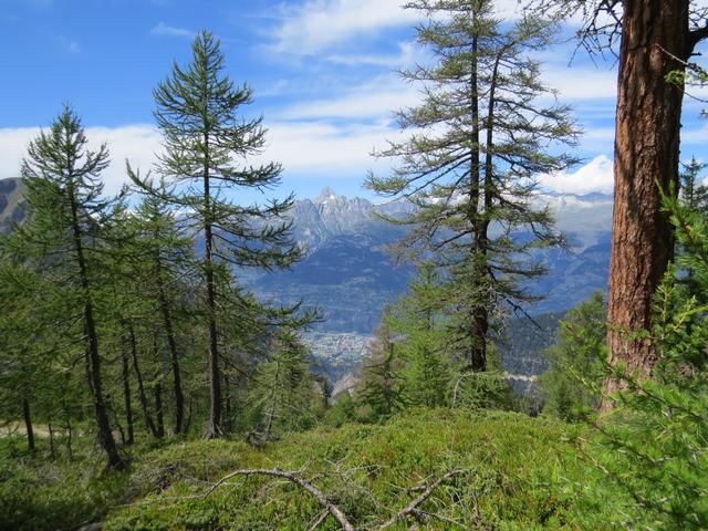 die Aussicht ins Rhonetal und auf das Bietschhorn ist traumhaft schön