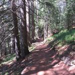 abkürzend durch den Wald, erreichen wir danach...