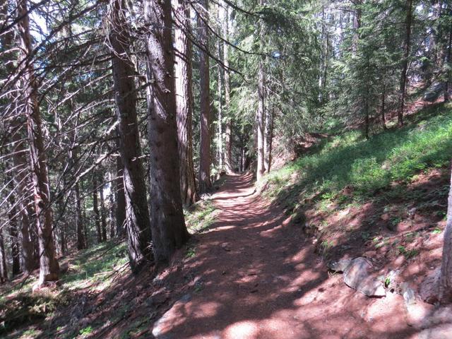 abkürzend durch den Wald, erreichen wir danach...